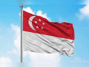 Indian-origin man jailed for wearing Singapore flag as cape while shouting he's god