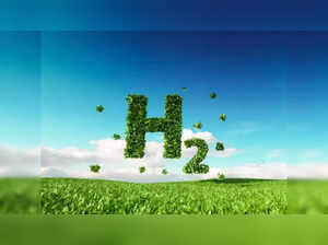 India gets bids for green hydrogen, electrolyser incentives