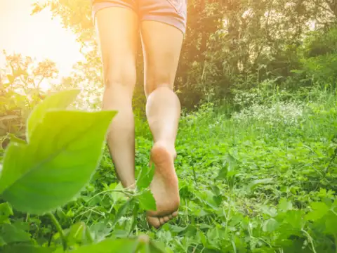 Forest Bathing (Shinrin-Yoku)