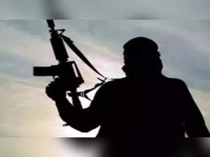 J-K_ Terrorist killed in encounter in Pulwama village