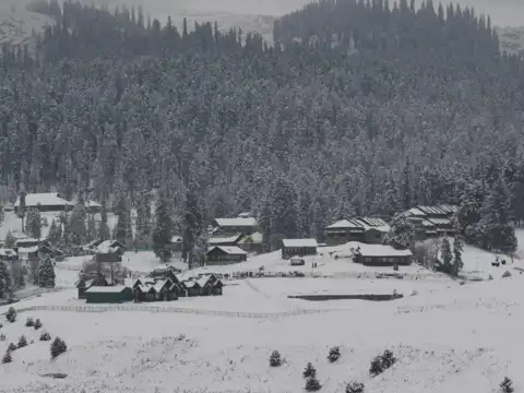 Srinagar 