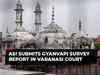 Gyanvapi case: ASI submits survey report in Varanasi court, next hearing on Dec 21