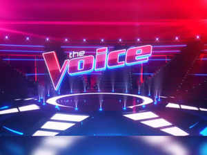 The Voice Season 24 finale