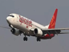SpiceJet shares jump 8% after budget carrier expresses interest in acquiring Go First