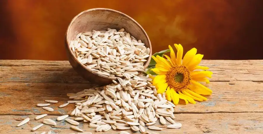 Best vegetarian foods with highest Vitamin E content - Vimarsana News