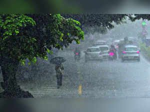 Tamil Nadu rain