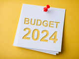 Budget FAQ 2024: Interim Budget vs Vote on Account - How the two are different?