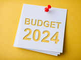 Budget FAQ 2024: Interim Budget vs Vote on Account - How the two are different? 1 80:Image