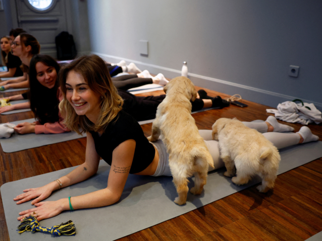 Participants perform a yoga exercise as Golden Retriever puppies play around them during a yoga class at a studio in Paris, France.