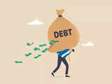 Govt clarifies position on debt, says general govt debt will decline substantially in the medium to long term 1 80:Image