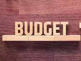 How long is the average Budget presentation speech?