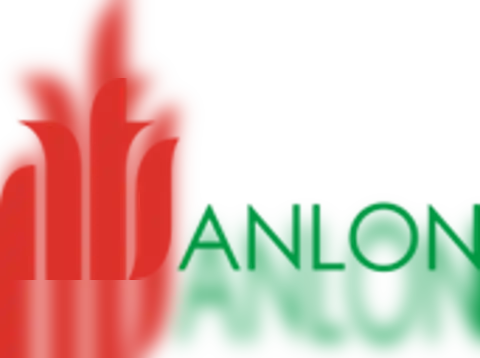Anlon Technology Solutions