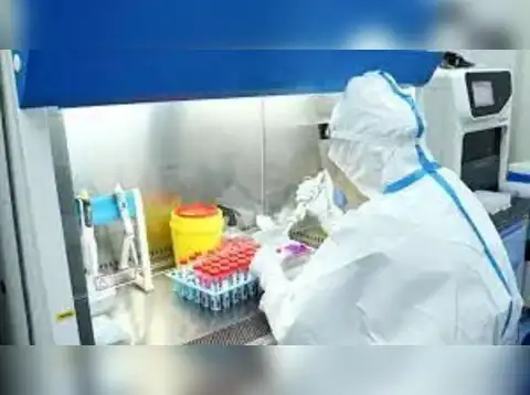 ​Buy IPCA Laboratories at Rs 1097