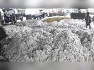 India cotton production