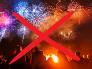 Pakistan bans New Year celebrations