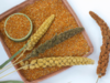 Did the International Year of Millets make a difference?