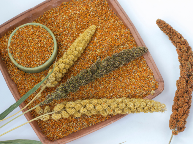 The International Year of Millets (IYM) in 2023 successfully raised global awareness about the health and sustainability benefits of millets.