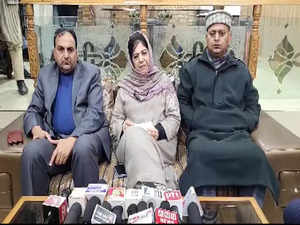 "Give 50 lakh, jobs to kin of people killed in police investigation": PDP chief Mehbooba Mufti