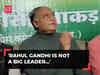 'Rahul Gandhi is not a big leader...': Congress leader Digvijay Singh's brother