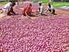 Govt procures 25,000 tonnes of kharif onion so far for buffer stock