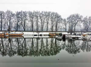 Water bodies across Kashmir freeze, minimum stays below freezing point