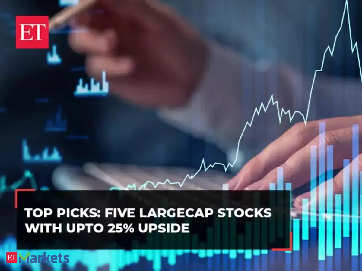 largecap stocks: New Year stock picks: Five largecap stocks that can