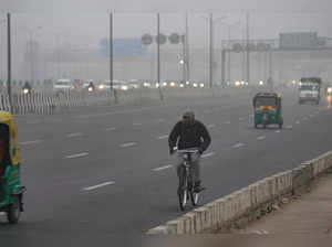 Delhi's peak winter power demand hits all-time high amid cold spell
