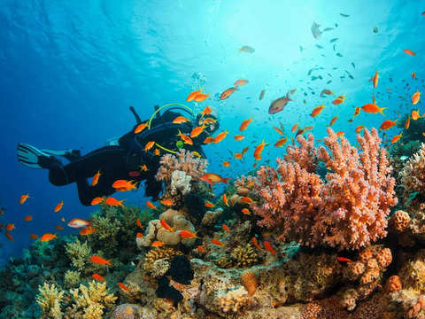 PM Modi went snorkelling and not scuba diving in Lakshadweep know