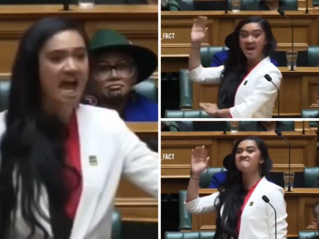 New Zeland's youngest MP​