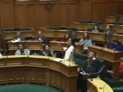 Advocacy for Maori Issues​