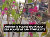 Ram temple consecration ceremony: Ayodhya Development Authority plants Ramayana era plants