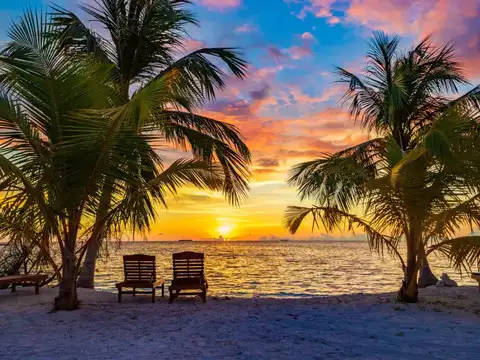 Maldives news portals' views