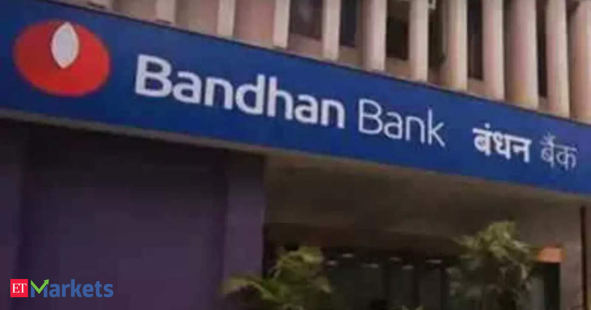 Small biz loan claims under audit, Bandhan says in filing