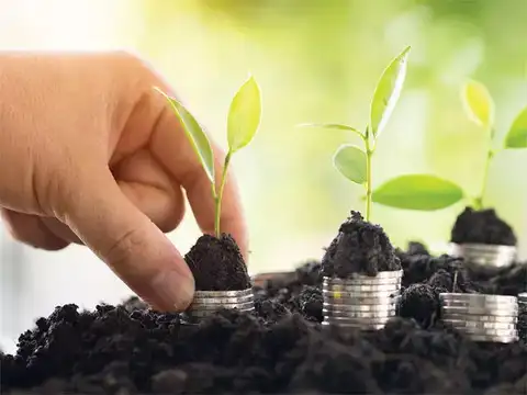 Asset Allocation Strategy