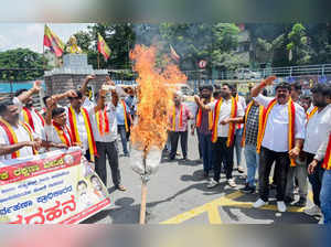 Bengaluru, Sept 22 (ANI): Kannada activists burn an effigy during the protest ag...