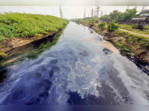 Chennai: The Ennore Creek after a recent oil spill in the aftermath of Cyclone M...