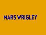 Mars Wrigley India appoints Nikhil Rao as chief marketing officer