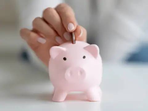  First contribution