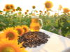 Sunflower, Soyabean oil prices rise amid shipping delays