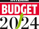 Interim Budget 2024: Plans afoot to privatise a state-run bank and a general insurance firm 1 80:Image