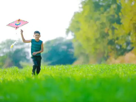 Makar Sankranti 2024: Wishes