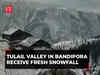 J&K: Higher reaches of Tulail Valley in Bandipora receive fresh snowfall