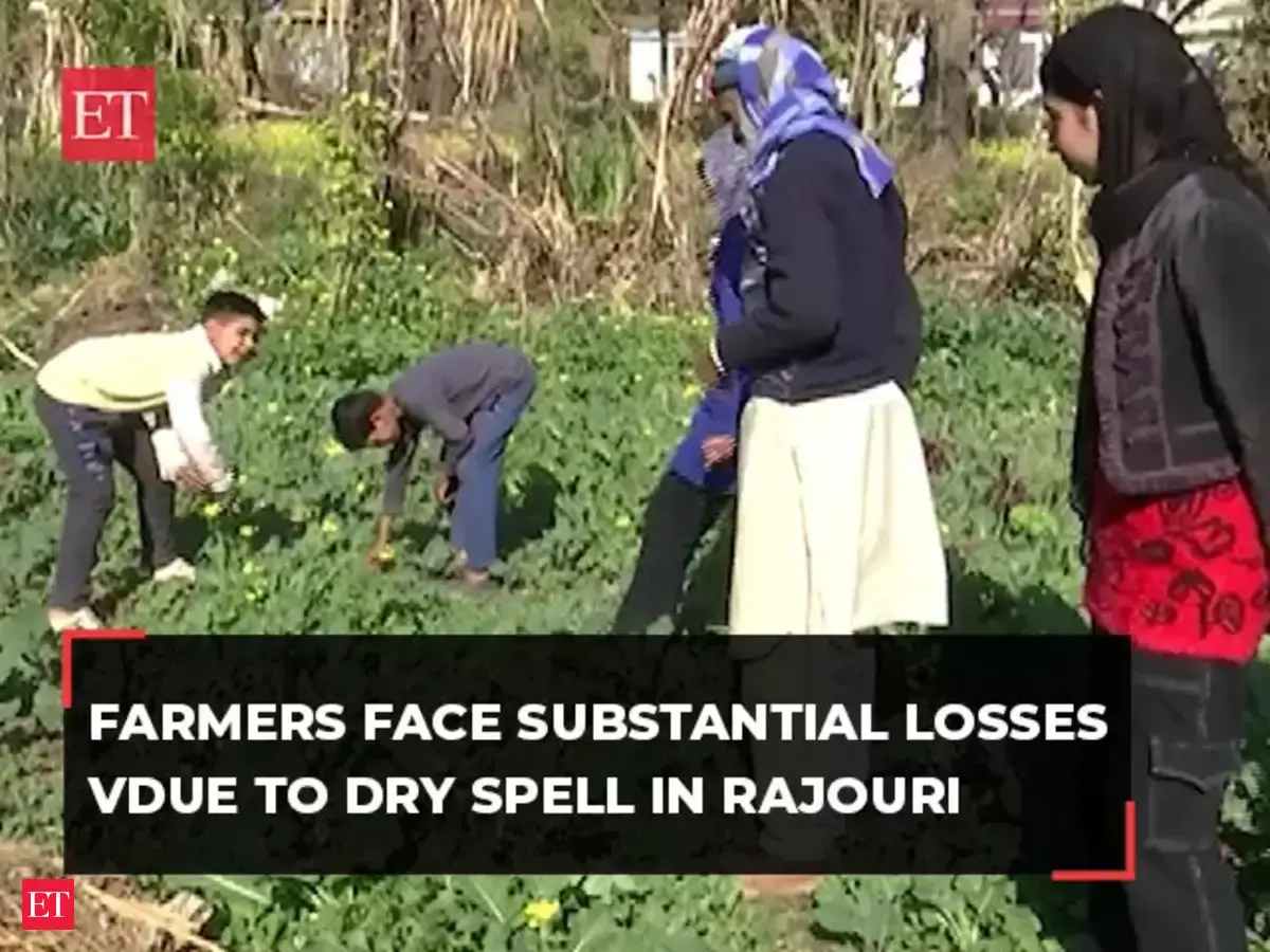 J&K: Farmers face substantial losses due to dry spell in Rajouri - The Economic Times Video | ET Now