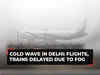 North India Shivers: Over 100 flights, 22 trains delayed as dense fog engulfs Delhi