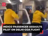 IndiGo flyer attacks pilot announcing flight delay | Viral video