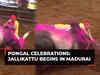 Tamil Nadu: Jallikattu competition begins at Madurai's Avaniyapuram village
