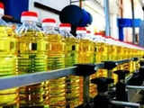 India keeps edible oil import duty lower until March 2025, imposes 50% export tax on molasses