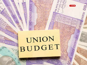 Budget 2024: No major moves in the budget; capex to normalise, fiscal deficit at 5.3% in FY25, say economists