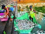 India asks WTO to weigh carve-out for poor fishing nations