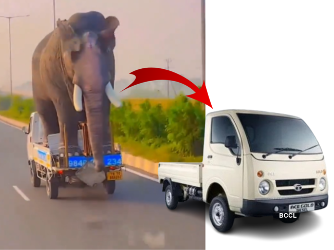 Viral video: When Tata Motors Chota Hatti with an elephant on it beats Hyundai Creta
